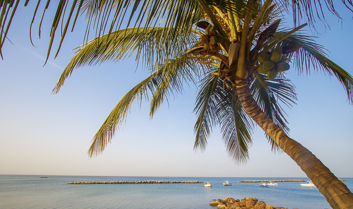 Séjour Sénégaldouceurs Du Sénégal Vacances Passion