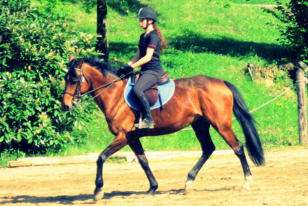 Vacances-passion - Centre équestre Cheval Bugey - Ceyzériat - Ain