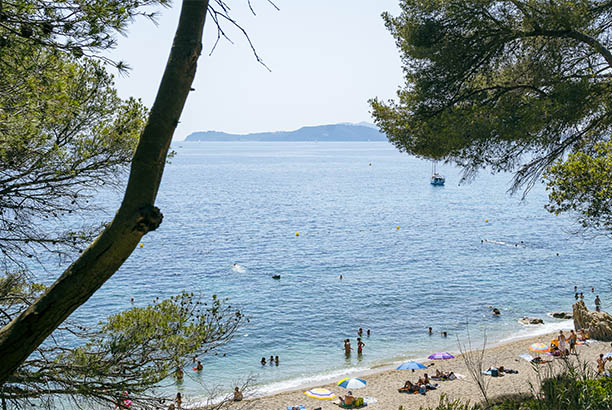 Vacances-passion - Le Mas de l'Artaude - Le Pradet - Var