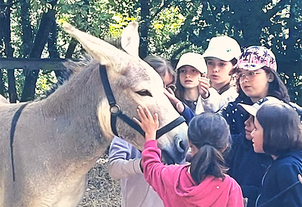 Vacances-passion - Domaine de Lascroux - Puycelsi - Tarn