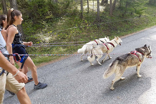 Vacances-passion - Volca-Sancy - Murat-le-Quaire - Puy-de-Dôme