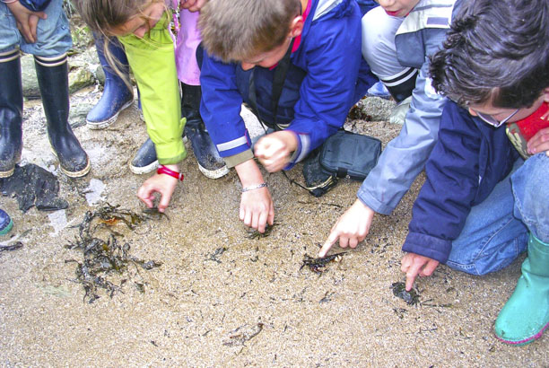 Vacances pour tous - colonies de vacances  - Préfailles Jade - Atlantiqu'explo