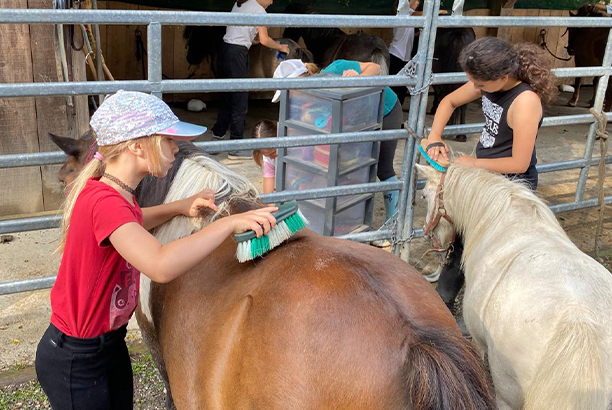 Vacances-passion - Village L'Isle d'Aulps - Saint-Jean-d'Aulps - Haute-Savoie