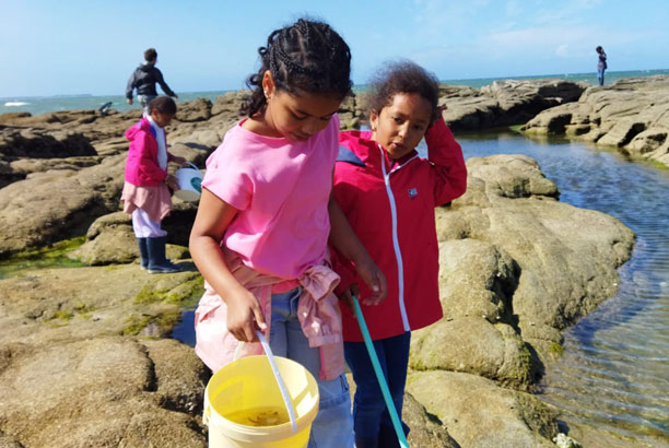 Vacances-passion - Le Razay - Piriac sur Mer - Loire-Atlantique