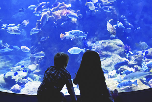 Vacances-passion - Belgique - Wavre - Belgique