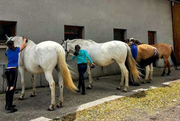 Vacances-passion - Centre Gérard Chavaroche - Saint-Front - Haute-Loire