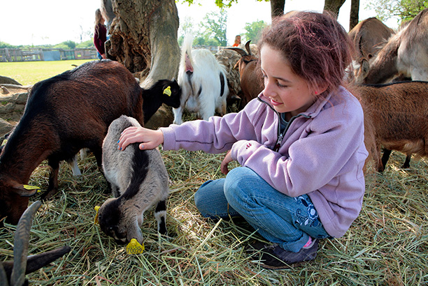 Vacances-passion - Le Chalet du Ticou** - Bolquère - Pyrénées-Orientales
