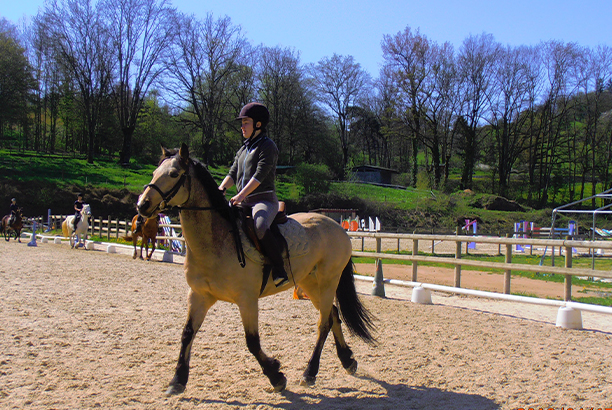 Vacances pour tous - colonies de vacances  - Feurs/Jas - Stage équestre