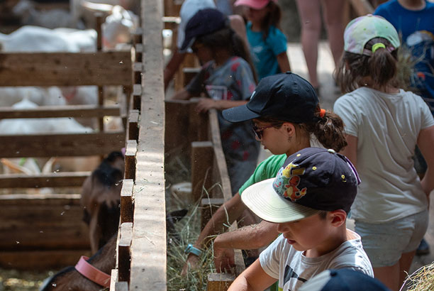 Vacances pour tous - colonies de vacances  - Murat-le-Quaire - Cavaliers trappeurs