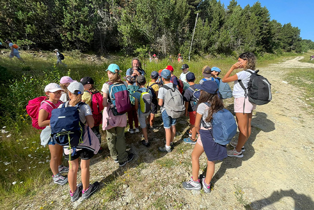 Vacances-passion - Le Chalet du Ticou** - Bolquère - Pyrénées-Orientales