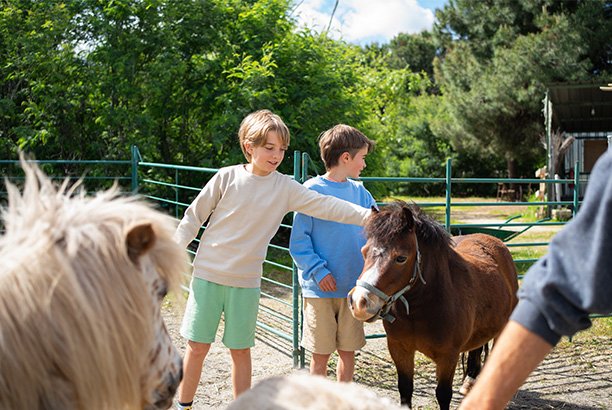 Vacances pour tous - colonies de vacances  - Les Eyzies-Sireuil - Equi'Périgord