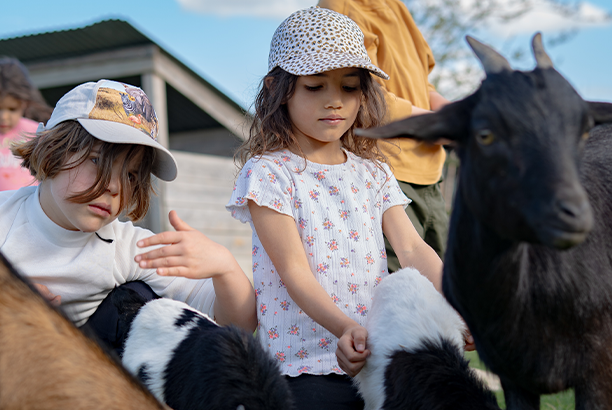 Vacances pour tous - colonies de vacances  - Chevillon - Mon premier poney et les animaux de la ferme