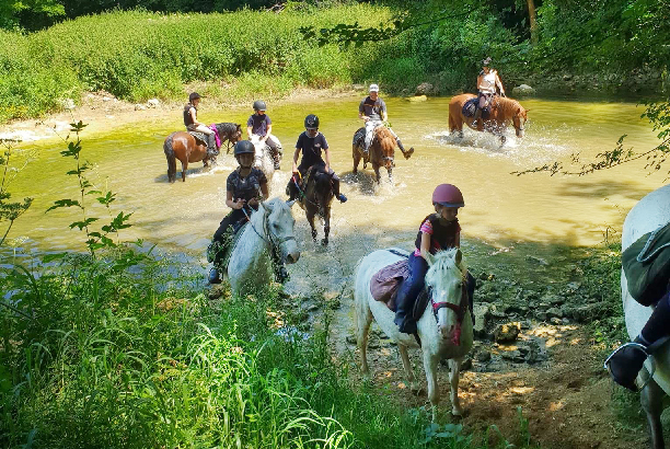 Vacances-passion - Centre équestre Cheval Bugey - Ceyzériat - Ain