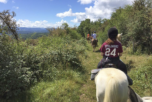 Vacances-passion - Centre équestre Cheval Bugey - Ceyzériat - Ain