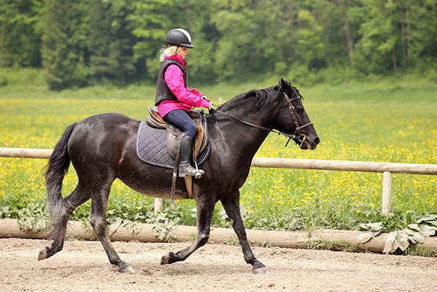 Vacances-passion - Centre Jas sport - Feurs / Jas - Loire