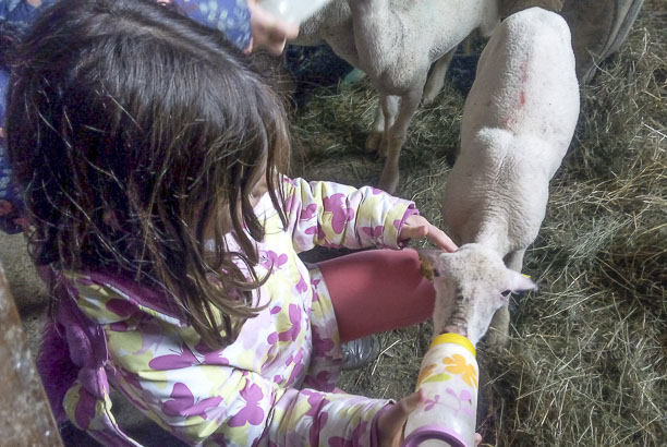 Vacances-passion - Centre d'Artigues à Barèges - La Mongie - Hautes-Pyrénées