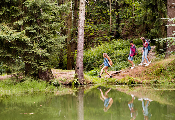 Vacances-passion - Les Jonquilles - Xonrupt-Longemer - Vosges