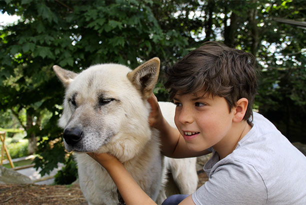 Vacances-passion - Centre La Traverse - Le Bessat - Loire